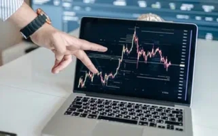 Where to Look for a Reputable Trading Platform?