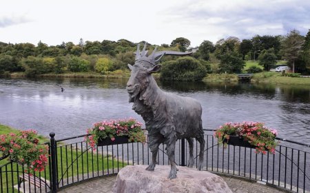 Top 10 Festivals in Ireland You Should Experience