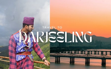 Darjeeling Tour Packages Under 10000: Explore Queen of Hills Affordably