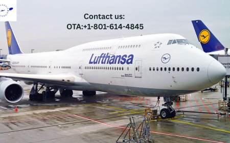 How do I speak to someone at Lufthansa?