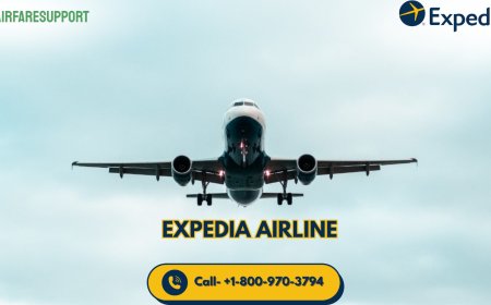 How Do I Speak to a Live Person at Expedia? Smart Travel Tips Inside!