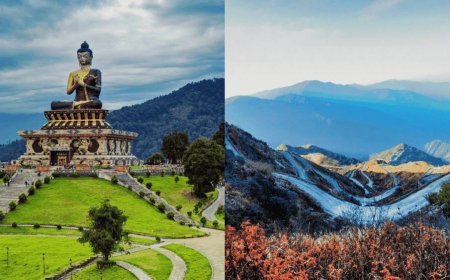 A Walk Through the Clouds: Darjeeling Travel Tales