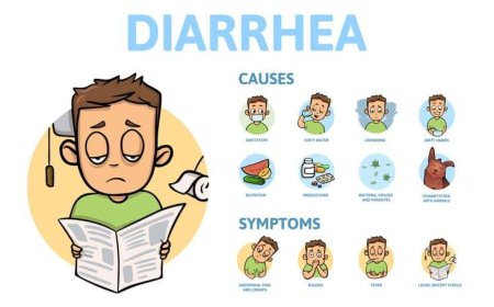 How Nizonide 500mg Helps Treat Diarrhea Quickly