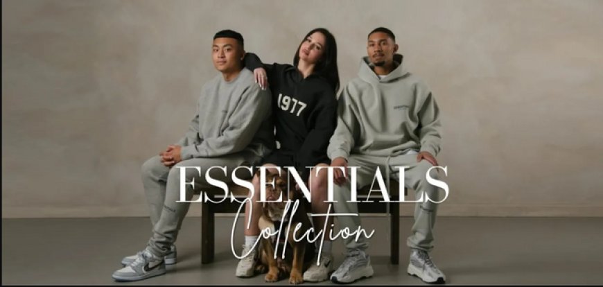 Essential Hoodie Pairing Guide: Match It with Tees, Jackets & More
