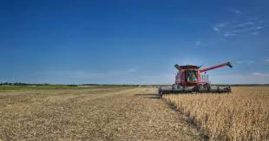 Agricultural Fuel Oil in the UK: Powering British Farming