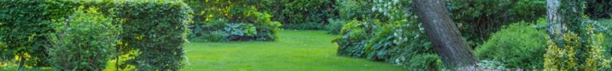 Garden Maintenance Kingsford by Skilled Gardeners Delivering Reliable and Affordable Outdoor Care
