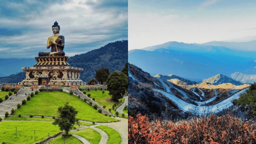 A Walk Through the Clouds: Darjeeling Travel Tales