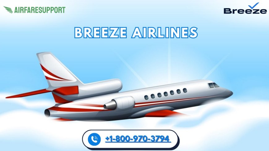 How do I Speak to a live person at Breeze?- Here, connect with different methods!