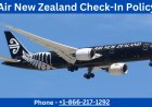 Complete Guide to Air New Zealand Check In