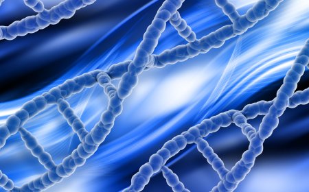 Xcell Amnio Matrix: Transforming Wound Care with Regenerative Technology