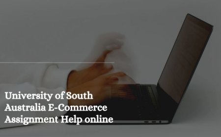 University of South Australia E-Commerce Assignment Help online