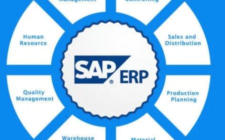 What is a Business Process in SAP?