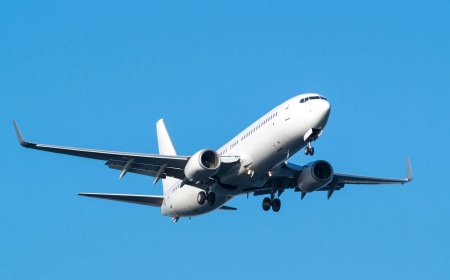 cathay flight status