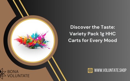 Discover the Taste: Variety Pack 1g HHC Carts for Every Mood