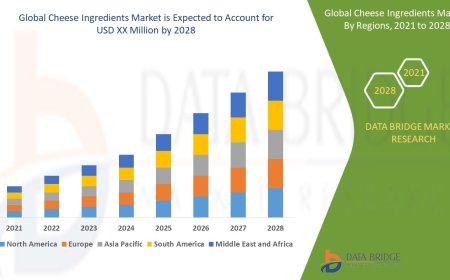 Cheese Ingredients Market Analysis: Supply Chain, Pricing, and Forecast to 2028