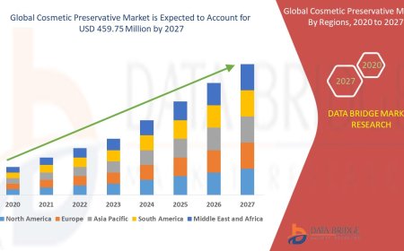 Cosmetic Preservatives  Market Insights and Growth Trends