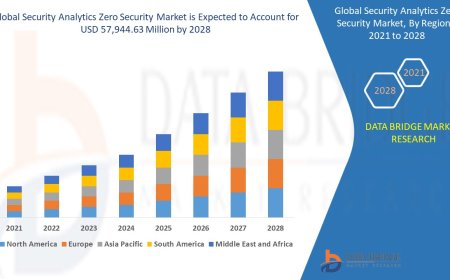 Security Analytics Zero Security Market Overview: Key Drivers and Challenges