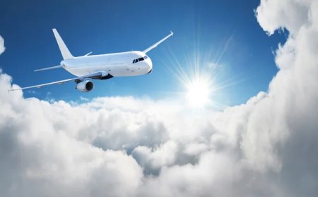 Missed Connection Help via American Airlines Phone Number Dallas