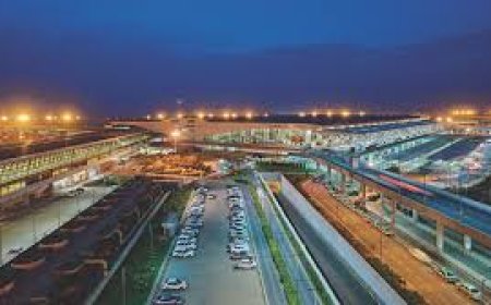 turkish airlines office in houston texas