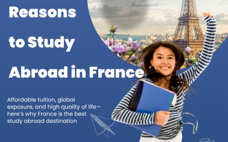 In-demand Course to Study in France 2025 for Indian Students