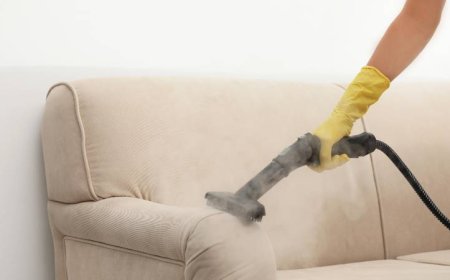 Upholstery Steam Cleaner Denver, CO