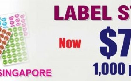 Elevate Your Brand with Custom Sticker Printing Today