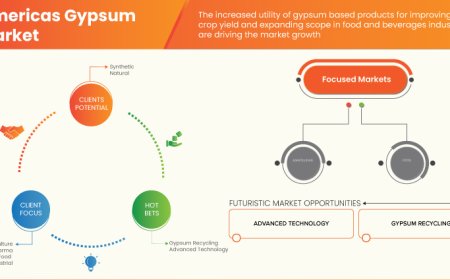 Americas Gypsum Market expected to reach USD 412,519.36 thousand by 2030
