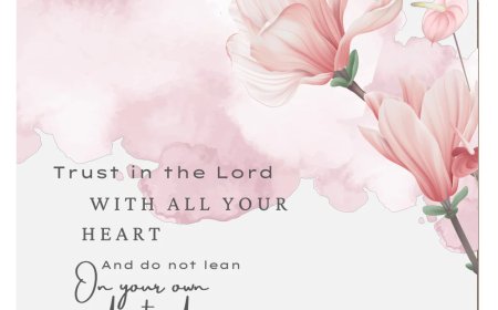 Buy Quality Kitchenware Online in the UK – Style Meets Function