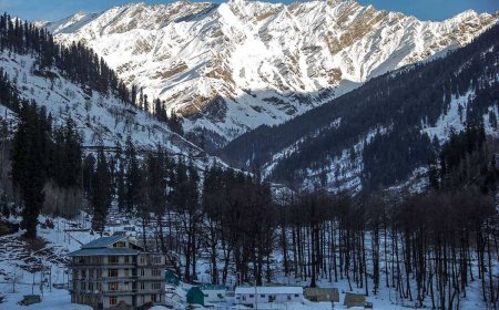 From Solang to Rohtang: The Ultimate Manali Adventure