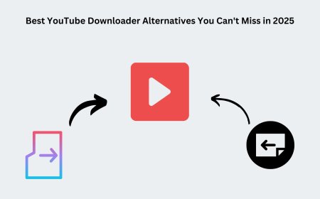 Best YouTube Downloader Alternatives You Can't Miss in 2025