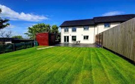 Quiet Places to Stay in Orkney