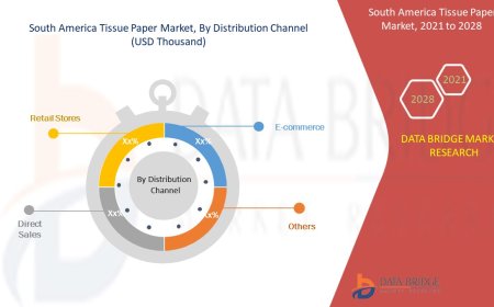 South America Tissue Paper Market Demand: Growth, Share, Value, Size, and Insights