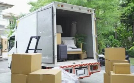 Moving Company Mississauga Guide for First-Time Movers