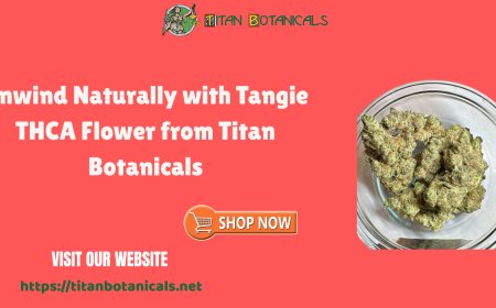 Unwind Naturally with Tangie THCA Flower from Titan Botanicals