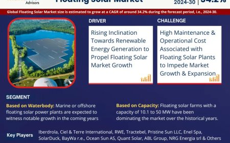 Global Floating Solar Components Market Value and Growth Projections for 2025 - 2030