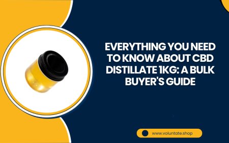 Everything You Need to Know About CBD Distillate 1KG: A Bulk Buyer's Guide