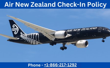 Complete Guide to Air New Zealand Check In