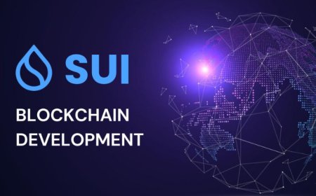Why Sui Blockchain Is Gaining Attention in the DeFi World