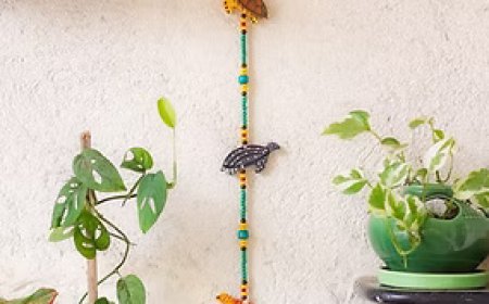 Sustainable Everyday Choices: Gifts, Decor, and Accessories Rooted in Simplicity