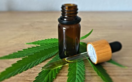 Are Premium CBD Products Really Worth the Extra Cost?