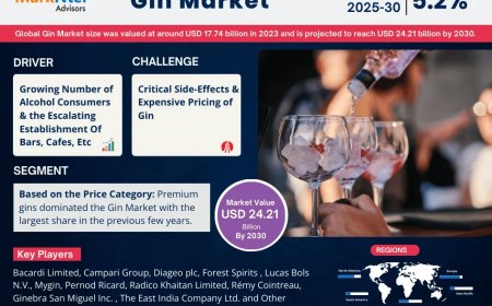Global Gin Market Value and Growth Projections for 2025 - 2030