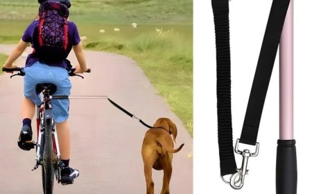 Laisse Chien Velo: La Révolution Canine Signée Chienalafolie