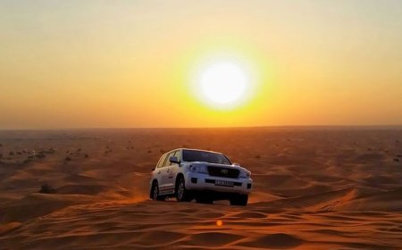 Best Desert Safari Tours: A Thrilling Adventure Across Arabian  Sands