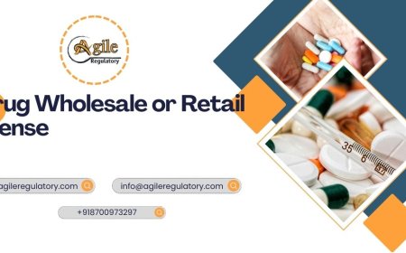 Entering the Pharma Distribution Market: Legal Essentials for Growth-Oriented Businesses