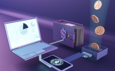 The Best Wallet Presale Opportunities in 2025: What to Know Before You Buy