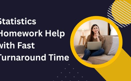 Statistics Homework Help with Fast Turnaround Time