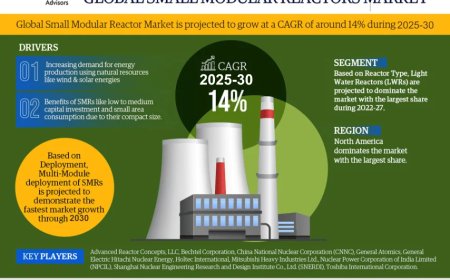 Global Small Modular Reactors Market Value and Growth Projections for 2025 - 2030