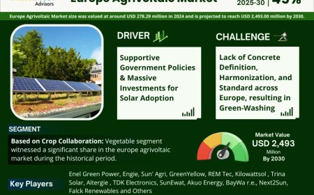 Europe Agrivoltaic Market Value and Growth Projections for 2025 - 2030