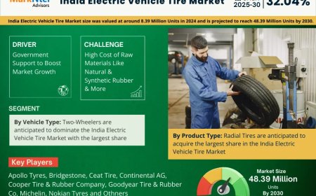 India Electric Vehicle Tire Market Value and Growth Projections for 2025 - 2030