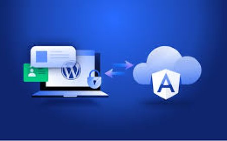 The Ultimate Guide to Hiring a WordPress Website Design Company That Delivers Results